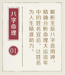 齐河起名流程一